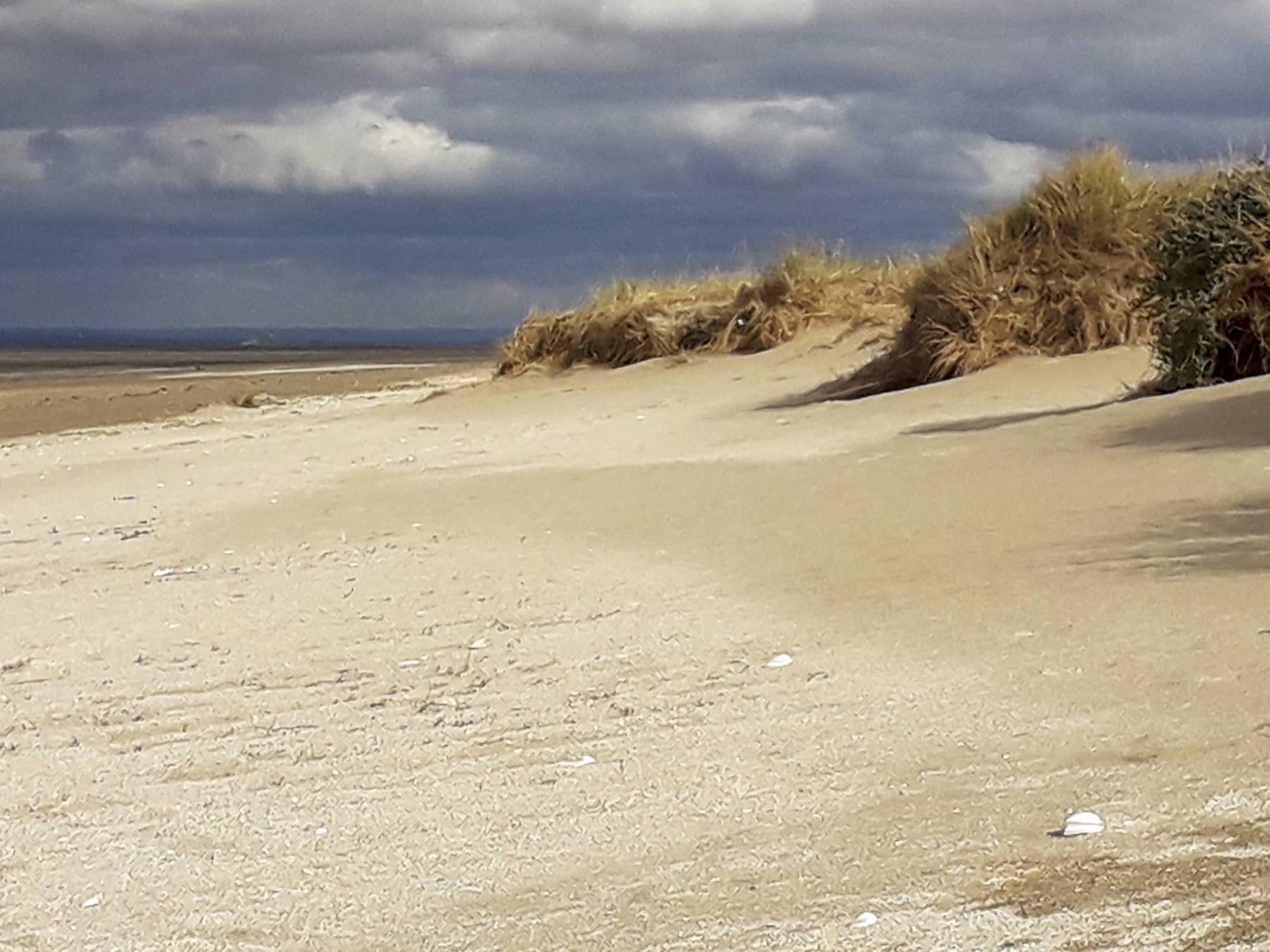 Dune de sable et oyats dans la Baie du Mont Saint-Michel sous un ciel chargé